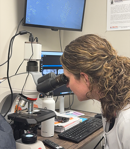 Cambridge dentist using a microscope