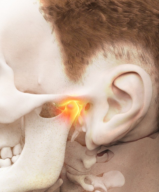 Illustration of the skull with the jaw joints highlighted